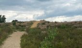 Randonnée Marche Maaseik - Gruitroderbos -  dunes - Photo 12