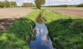 Tocht Te voet Kalbe - Rund um Heidenau-Kalbe Wanderweg - Photo 1