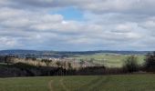 Trail Walking Houffalize - rando engreux 11-03-2023 - Photo 15