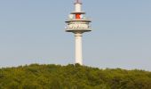 Tour Zu Fuß Unbekannt - Sophienalpe - Scheiblingstein - Photo 4