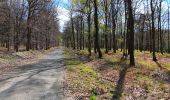 Trail Walking Jalhay - boucle autour des ruisseaux le louba et la gileppe  - Photo 14