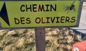 Trail Walking Les Mées - LES MÉES. CHEMIN DES OLIVIERS. S APOLLINAIRE  N - Photo 2