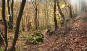 Trail Walking Profondeville - Les Bois de Lustin  - Photo 7