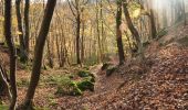 Tocht Stappen Profondeville - Les Bois de Lustin  - Photo 7