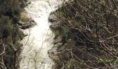 Tocht Stappen Prévenchères -  Gorges de Chassezac - Photo 4