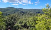 Trail Walking Solliès-Toucas - couvent Saint Hubert - Photo 18