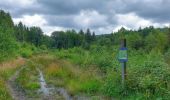 Randonnée Marche Viroinval - Balade à Oignies-en-Thiérache - Le Ry d'Alise - Photo 3