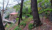 Tour Wandern Collioure - commioure entre pradells et consolation  - Photo 11