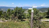 Excursión Senderismo Ollioules - tour du gros cerveau  - Photo 4