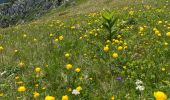 Tour Wandern Saint-Pierre-de-Chartreuse - Le charmant Som en Boucle - Photo 4