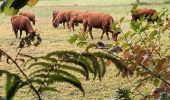 Tour Wandern Bort-les-Orgues - Tour des orgues à Bort les Orgues - Photo 4