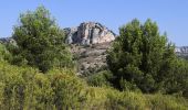 Randonnée Marche Mérindol - Les gorges de regallon à partir de Merinol - Photo 17