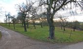 Tour Zu Fuß Markgröningen - DE-SAV Blaues Kreuz, von - nach? - Photo 4