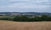 Trail On foot Sedlec-Prčice - NS Od Vítkovské růže k zázračnému prameni - Photo 10