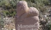 Trail Walking Aumes - l espandidor de las fadas Aumes - Photo 5