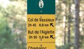 Trail Walking Marignac-en-Diois - Marignac - But de l'Aiglette - Col de Vassieux - Photo 14