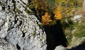 Trail Walking Castellane - Castellane - Chapelle St Thyrs - Petit Robion - Sommet Robion - Gorges du Rayaup - Photo 11