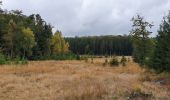 Tour Wandern Martelingen - rando vlessart 13/10/2020 - Photo 4