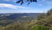 Tocht Stappen Vianden - vianden  .  bivels  .  vianden - Photo 18