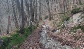 Trail Walking Spa - soa creppe winamplanche Marteau spa - Photo 3