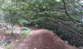 Tocht Stappen L'Albère - ullat . piste . puig orella . puig St cristau . puig orella . ullat - Photo 9