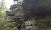 Trail Walking Saint-Dié-des-Vosges - Massif de l'Ormont et ses rochers remarquables - Photo 19