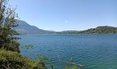 Tocht Stappen Nances - Lac d'Aiguebelette  - Photo 1