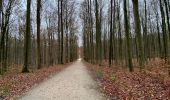 Trail Walking Tervuren - Tervuren 22 km - Photo 4