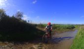 Randonnée V.T.T. Fleurus - VTT A LA CONQUETE DU PARCOUR FLECHE DE FLEURUS - Photo 8