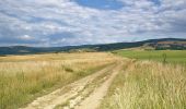 Trail On foot District of Piešťany - Lazová 100 - Photo 6