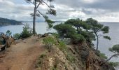 Tour Wandern Hyères - Giens boucle ouest - Photo 20