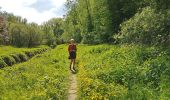Trail Walking Pont-à-Celles - 2020-05-13 Liberchies (Viesville) 16 Km - Photo 13