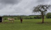 Randonnée Marche Habay - rulles semois mellier  - Photo 8