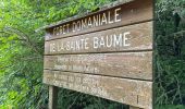 Excursión A pie Plan-d'Aups-Sainte-Baume - Massif Sainte Baume et pas de l’Aï 15 km - Photo 2