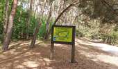 Trail Walking Saint-Ghislain - VILLEROT _ [ Saint - Ghislain ] _Marche Fédérale _ HT _21/05/2022 - Photo 2