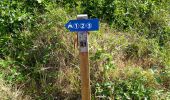 Tocht Stappen Anhée - balade à Maredsous - Photo 5