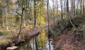 Randonnée Marche Raeren - Raeren  Roetgen Eifelsteig 23 km - Photo 1