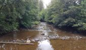 Excursión Senderismo Malmedy - Les crêtes de la Warche - MDY 22 - Photo 3