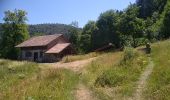 Excursión Senderismo Storckensohn - Storckensohn Gazon Vert - Photo 18