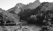 Tour Wandern Saint-Raphaël - Baisse de la Grosse Vache depuis Pk Belle Barbe - Photo 1