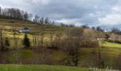 Randonnée Marche Le Ménil - Grande boucle au départ des chalets de la Feigne sur de l'Eau - Photo 3