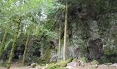 Trail Walking Lepuix - Giromagny - sentier des mines  - Photo 6