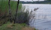 Randonnée V.T.C. Sanguinet - Sanguinet-Le lac à la tombée de la nuit - Photo 4