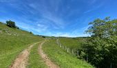 Trail Walking Recoules-d'Aubrac - Au temps des fleurs et des genêts - Photo 19