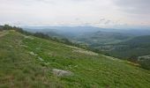 Tocht Stappen Mont Lozère et Goulet - 210617 - Mont Lozère  - Photo 4