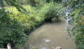 Trail Walking Bassenge - Fort Eben-emael 11 Km  - Photo 4