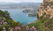 Trail Walking Cassis - les crêtes du cap Canaille, du pas de la colle à la  grotte des émigrés  - Photo 3