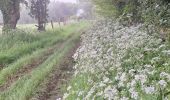 Trail Walking Le Mesnil-Simon - Le Mesnil Simon - Photo 12