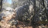 Trail Walking Brignoles - l'Amarron - Photo 15