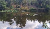 Tour Wandern Fréjus - Barrage de Malpasset 09-09-20 - Photo 1